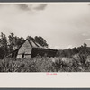 Abandoned land and poor pasture at Florida Withlacoochee River Agricultural Demonstration Project near Brooksville, Florida.
