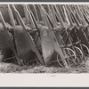 Wheelbarrows used at Greenbelt, Maryland.