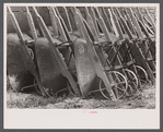 Wheelbarrows used at Greenbelt, Maryland.