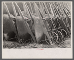 Wheelbarrows used at Greenbelt, Maryland.