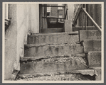 View showing disintegration of concrete stairs at the Model Housing Corporation, Cincinnati, Ohio.
