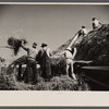 Threshing, Tygart Valley, West Virginia.