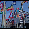Flags waving from flagpoles