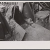 Backyard and outside water supply, Hamilton Co., [Cincinnati,] Ohio.