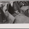Backyard and outside water supply, Hamilton Co., [Cincinnati,] Ohio.