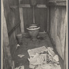 Privy, Cincinnati, Ohio.
