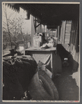Typical crowded back porch. Cincinnati, Ohio.