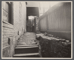 Back of house on Martin Street. Cincinnati, Ohio.