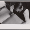 Public tax worker, Washington, D.C.