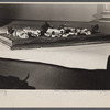 Model of Berwyn, Maryland, project.