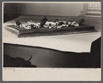 Model of Berwyn, Maryland, project.