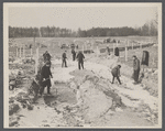 Winter at Berwyn project, Berwyn [later Greenbelt], Maryland.