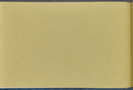 Rem Lefferts house (front). Fulton Street opposite Arlington Place