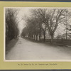 Hunter Fly Road. Corner of Canarsie Lane (view north)