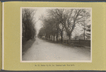 Hunter Fly Road. Corner of Canarsie Lane (view north)