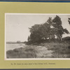 Cedars on shore. Ryder's Pond (Strome Kill). Gravesend
