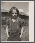 Son of a woodcutter, Eden Mills, Vermont.