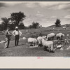 Farm scene near Lowell, Vermont.