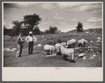 Farm scene near Lowell, Vermont.