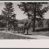 Old Vermont carriage and farm family near North Hyde Park, Vermont.