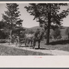 Old Vermont carriage and farm family near North Hyde Park, Vermont.