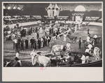 Cattle at the stock show, Eastern States Fair, Springfield, Massachusetts.