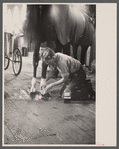 Stable scene at the Eastern State Fair, Springfield, Massachusetts.