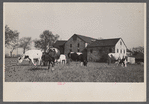 Lloyd Kramer farm, Farmersville, Pennsylvania, Northampton farm site?