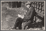 Man in the park, Manchester, New Hampshire.