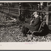 Man in the park, Manchester, New Hampshire.
