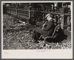 Man in the park, Manchester, New Hampshire.