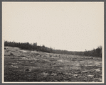 Lake site of the Berwyn project. Berwyn, Maryland.
