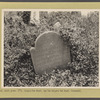 Dutch grave (1771). Jacques Van Brunt, son of Rutgert Van Brunt. Gravesend
