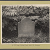 Grave of Helena Priest. Gravesend