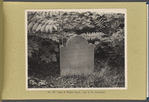 Grave of Helena Priest. Gravesend