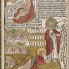 Apocalypsis Sancti Johannis