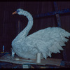 Swan prop from Lohengrin at the Metropolitan Opera
