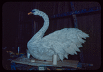 Swan prop from Lohengrin at the Metropolitan Opera