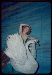 Dancer Julia Barashkova with swan prop during a Metropolitan Opera tour of Lohengrin