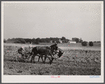 Farmer at work. Lancaster County, Pennsylvania.