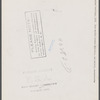 New England hurricane. Pine wood lot near Worcester and Amherst, Massachusetts.