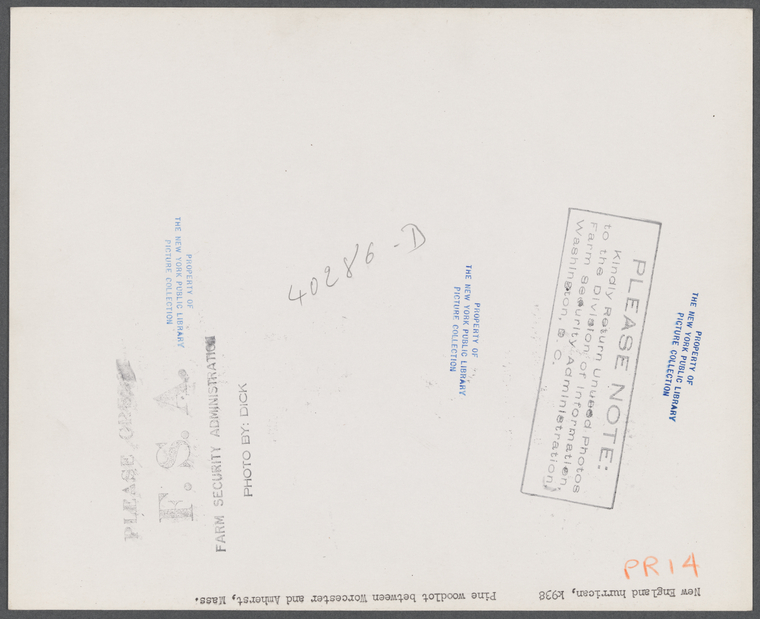 Index