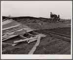 New England hurricane. Tobacco barn in Amherst, Massachusetts.
