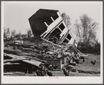 New England hurricane. Chicken house between Worcester and Amherst, Massachusetts.