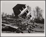 New England hurricane. Chicken house between Worcester and Amherst, Massachusetts.