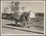 Children with wheelbarrow. Reedsville, West Virginia.