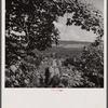 View on top of hill near Watkins Glen, New York.