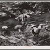 Washington, D.C. Girls playing in Rock Creek Park.