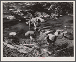Washington, D.C. Girls playing in Rock Creek Park.