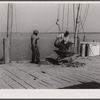 Unloading oysters. Rock Point, Maryland.